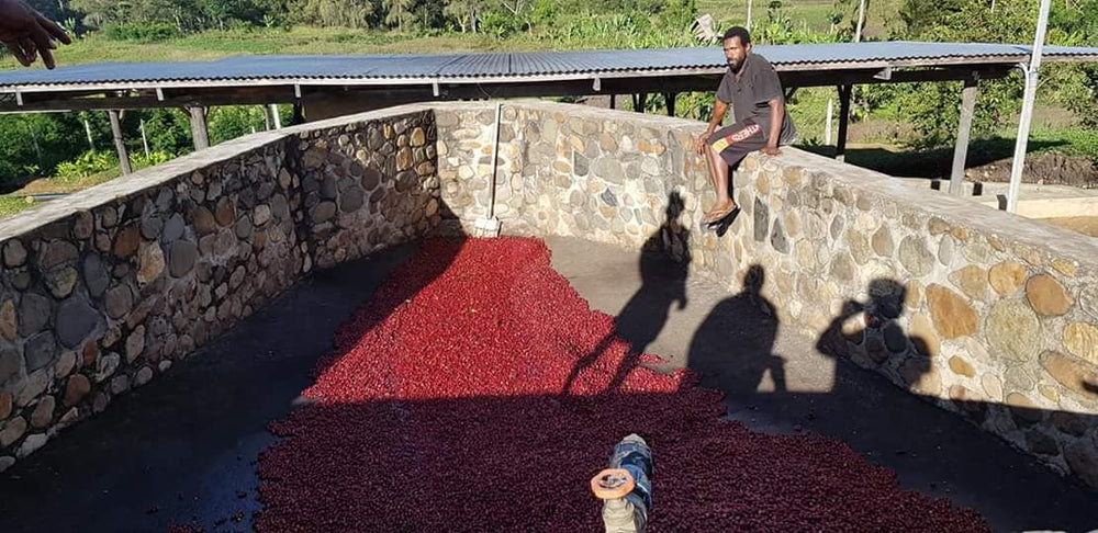 Papua New Guinea PNG Eastern Highlands Marawaka Village Blue Mountain green coffee bean sustainable shade grown farming process Cherry pulp washing